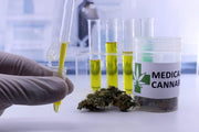What's the Difference Between THC and CBD?